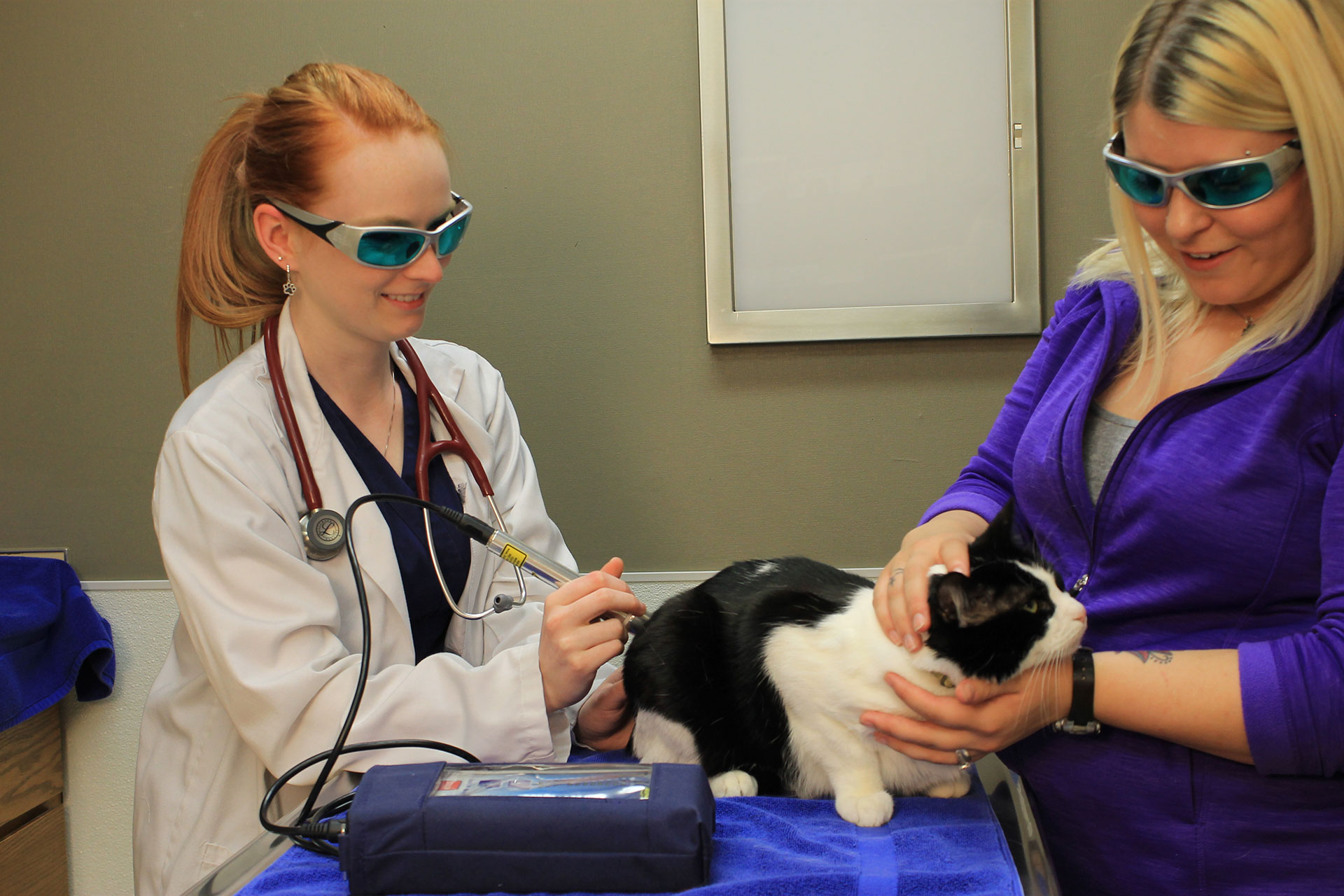 Laser Therapy Joined with Gardens Animal Hospital<br />4290 / 4300 Northlake Blvd<br />Palm Beach Gardens, FL 33410
